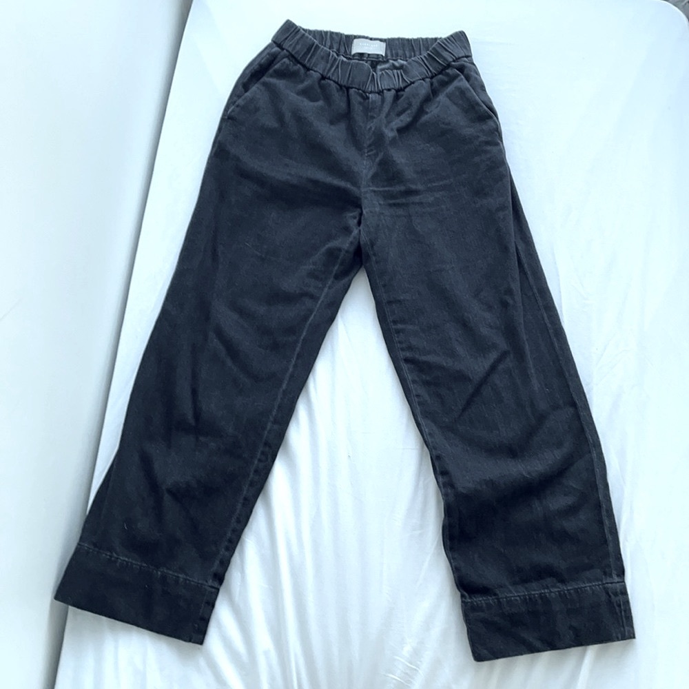 EVERLANE the Easy Jean. Cotton 4 pockets size 8 women’s Elastic waist ! Cropped